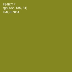 #84871F - Hacienda Color Image