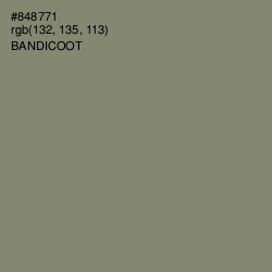 #848771 - Bandicoot Color Image
