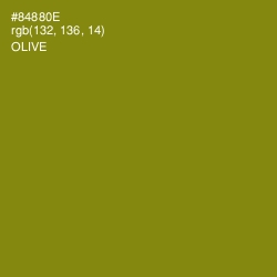 #84880E - Olive Color Image