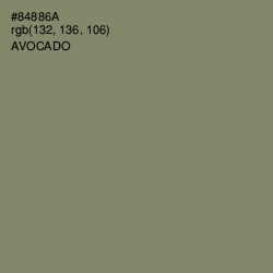 #84886A - Avocado Color Image