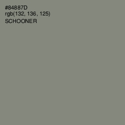 #84887D - Schooner Color Image