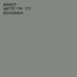 #84887F - Schooner Color Image