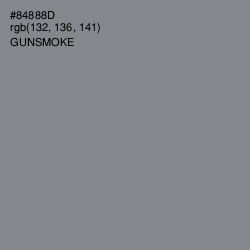 #84888D - Gunsmoke Color Image