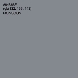 #84888F - Monsoon Color Image
