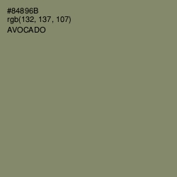 #84896B - Avocado Color Image