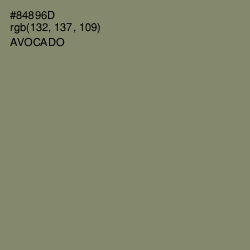 #84896D - Avocado Color Image
