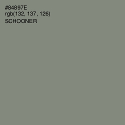 #84897E - Schooner Color Image