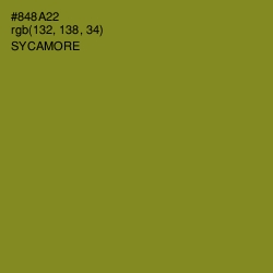 #848A22 - Sycamore Color Image