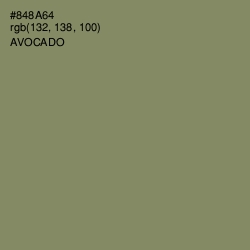 #848A64 - Avocado Color Image