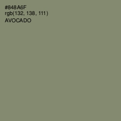 #848A6F - Avocado Color Image