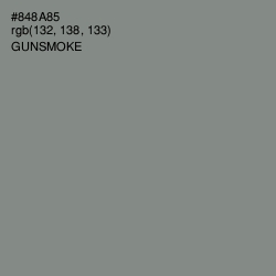 #848A85 - Gunsmoke Color Image