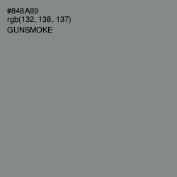 #848A89 - Gunsmoke Color Image