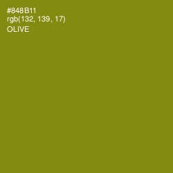 #848B11 - Olive Color Image