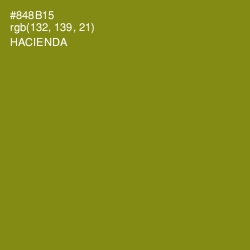#848B15 - Hacienda Color Image