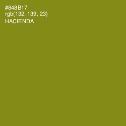 #848B17 - Hacienda Color Image