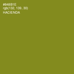 #848B1E - Hacienda Color Image