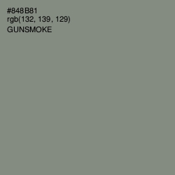 #848B81 - Gunsmoke Color Image