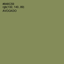 #848C59 - Avocado Color Image