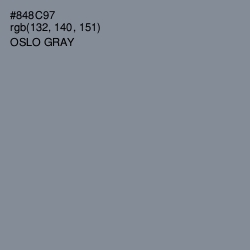 #848C97 - Oslo Gray Color Image