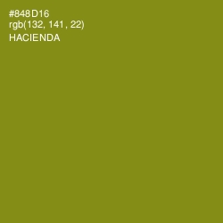 #848D16 - Hacienda Color Image