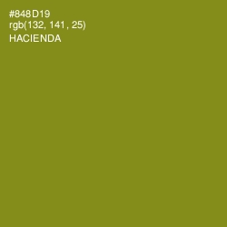 #848D19 - Hacienda Color Image