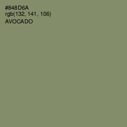 #848D6A - Avocado Color Image