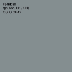 #848D90 - Oslo Gray Color Image
