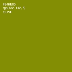 #848E05 - Olive Color Image