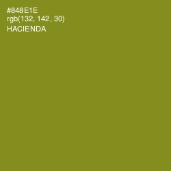 #848E1E - Hacienda Color Image