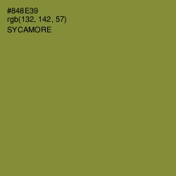 #848E39 - Sycamore Color Image