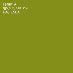 #848F1A - Hacienda Color Image