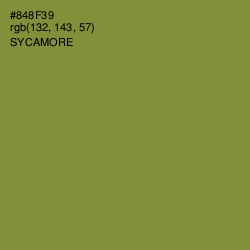 #848F39 - Sycamore Color Image