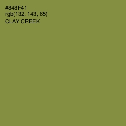 #848F41 - Clay Creek Color Image