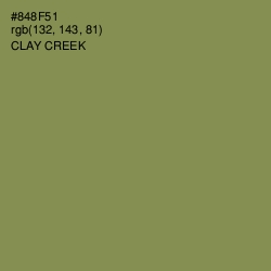 #848F51 - Clay Creek Color Image