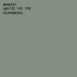 #848F81 - Gunsmoke Color Image