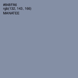 #848FA6 - Manatee Color Image