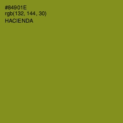 #84901E - Hacienda Color Image