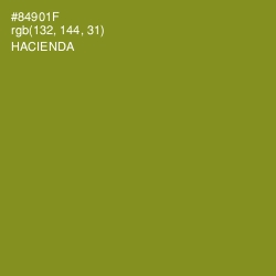 #84901F - Hacienda Color Image