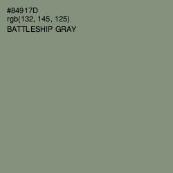 #84917D - Battleship Gray Color Image
