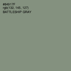 #84917F - Battleship Gray Color Image