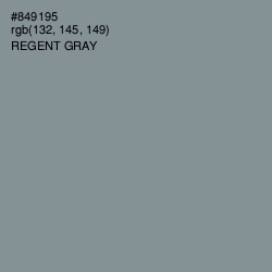 #849195 - Regent Gray Color Image