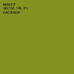 #84921F - Hacienda Color Image