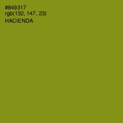 #849317 - Hacienda Color Image