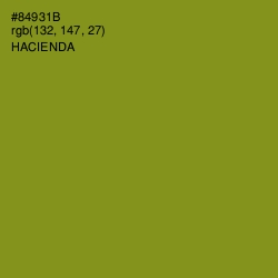 #84931B - Hacienda Color Image