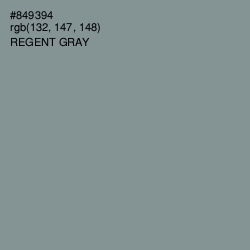 #849394 - Regent Gray Color Image