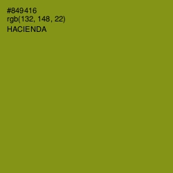 #849416 - Hacienda Color Image