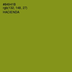 #84941B - Hacienda Color Image