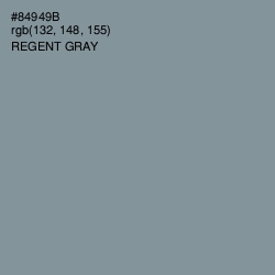#84949B - Regent Gray Color Image