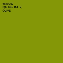 #849707 - Olive Color Image