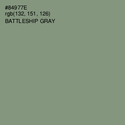 #84977E - Battleship Gray Color Image